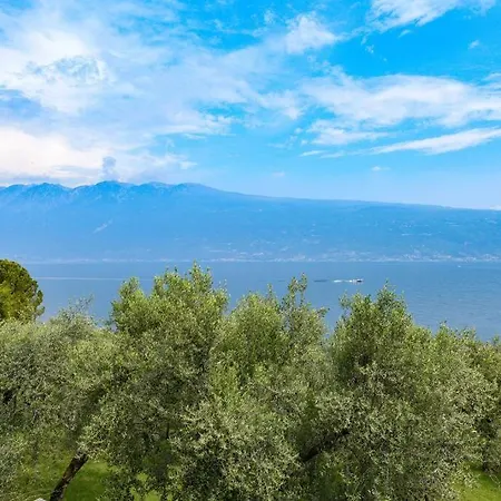 Oleandro Directly On The Gargnano