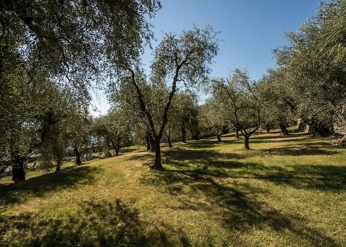 Oleandro Directly On The * Gargnano