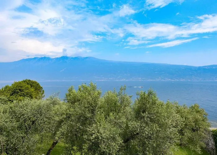Oleandro Directly On The Gargnano