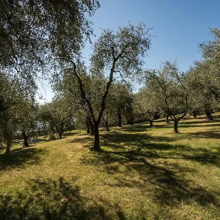 Oleandro Directly On The * Gargnano